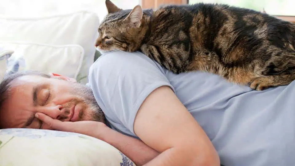 Tạo môi trường và lối sống hỗ trợ giấc ngủ sâu